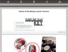 Tablet Screenshot of proevolutionhockey.com